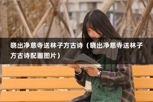 晓出净慈寺送林子方古诗（晓出净慈寺送林子方古诗配画图片）