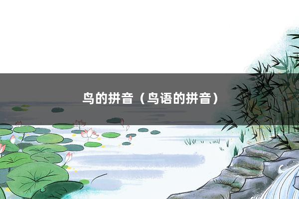鸟的拼音（鸟语的拼音）