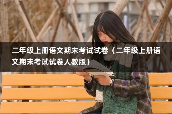 二年级上册语文期末考试试卷（二年级上册语文期末考试试卷人教版）