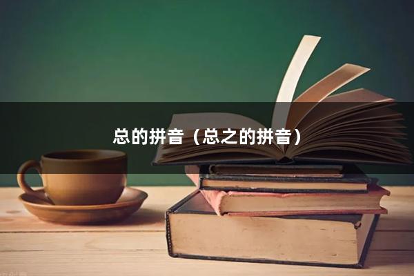 总的拼音（总之的拼音）