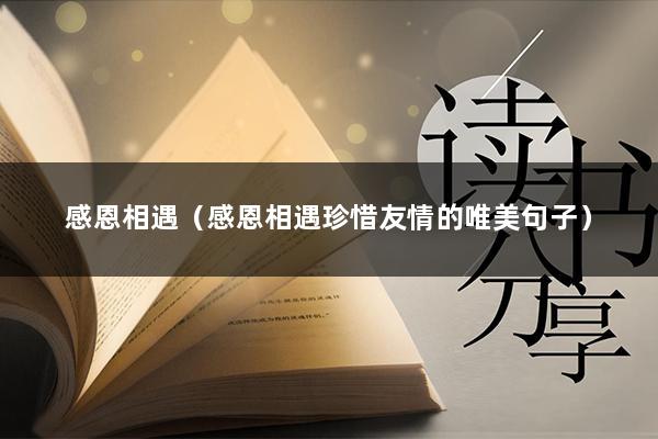 感恩相遇（感恩相遇珍惜友情的唯美句子）