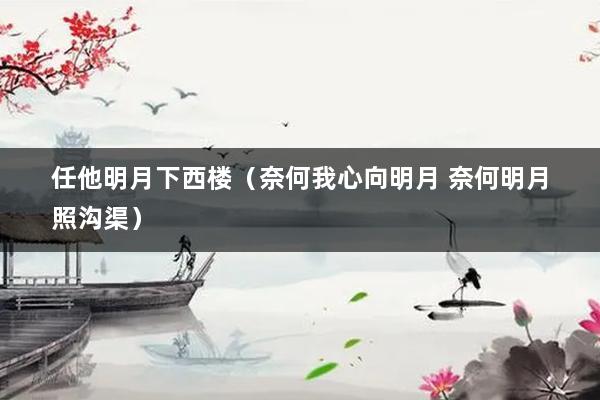任他明月下西楼（奈何我心向明月 奈何明月照沟渠）