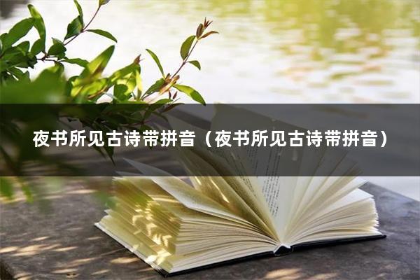 夜书所见古诗带拼音（夜书所见古诗带拼音）