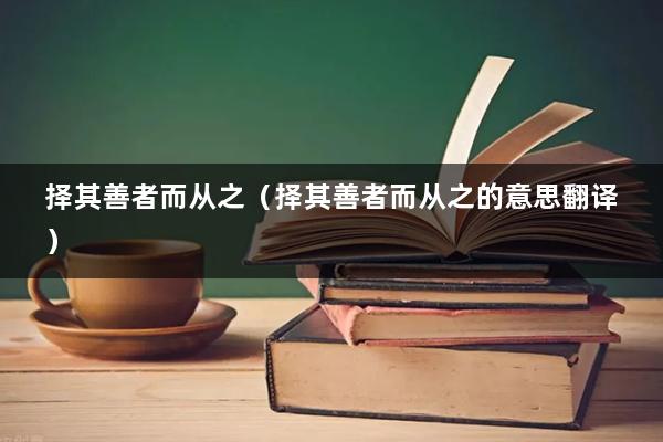 择其善者而从之(择其善者而从之的意思翻译)