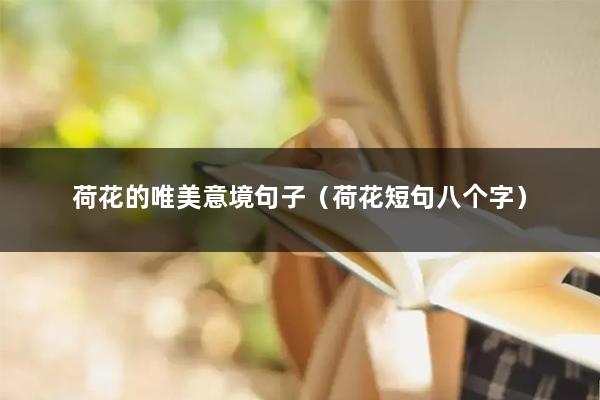 荷花的唯美意境句子(荷花短句八个字)
