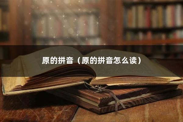 原的拼音(原的拼音怎么读)