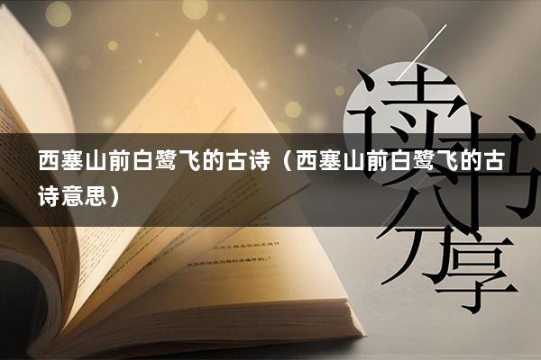 西塞山前白鹭飞的古诗（西塞山前白鹭飞的古诗意思）