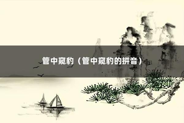 管中窥豹（管中窥豹的拼音）