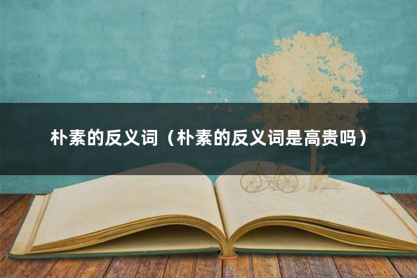 朴素的反义词（朴素的反义词是高贵吗）