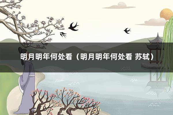 明月明年何处看（明月明年何处看 苏轼）