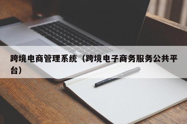 跨境电商管理系统（跨境电子商务服务公共平台）