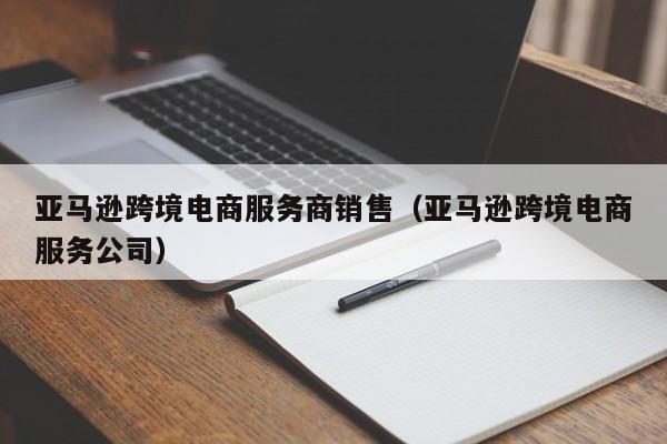 亚马逊跨境电商服务商销售（亚马逊跨境电商服务公司）