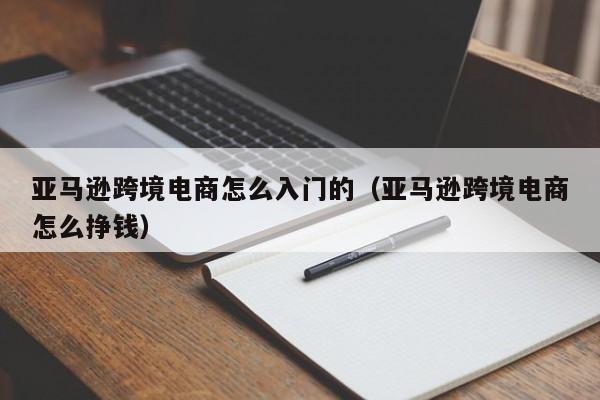 亚马逊跨境电商怎么入门的（亚马逊跨境电商怎么挣钱）