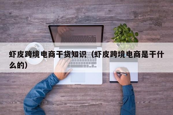 虾皮跨境电商干货知识（虾皮跨境电商是干什么的）