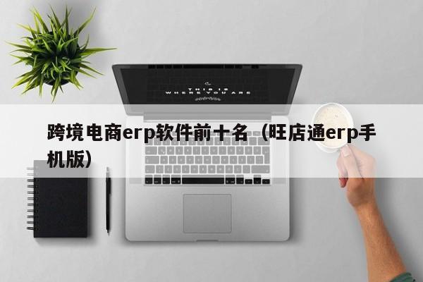 跨境电商erp软件前十名（旺店通erp手机版）