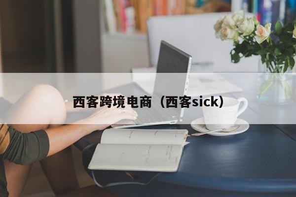西客跨境电商（西客sick）