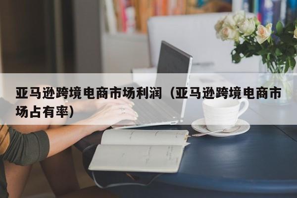 亚马逊跨境电商市场利润（亚马逊跨境电商市场占有率）