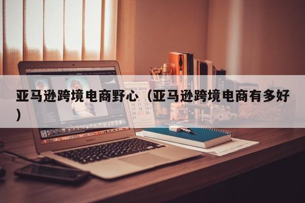 亚马逊跨境电商野心（亚马逊跨境电商有多好）