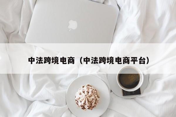 中法跨境电商（中法跨境电商平台）