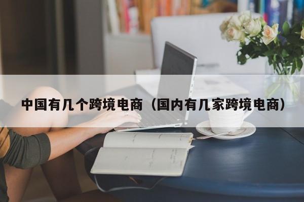 中国有几个跨境电商（国内有几家跨境电商）