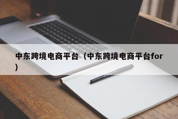 中东跨境电商平台（中东跨境电商平台for）