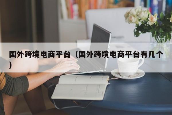 国外跨境电商平台（国外跨境电商平台有几个）