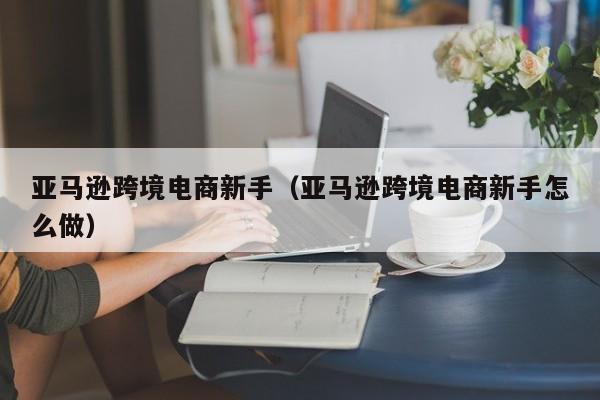 亚马逊跨境电商新手（亚马逊跨境电商新手怎么做）