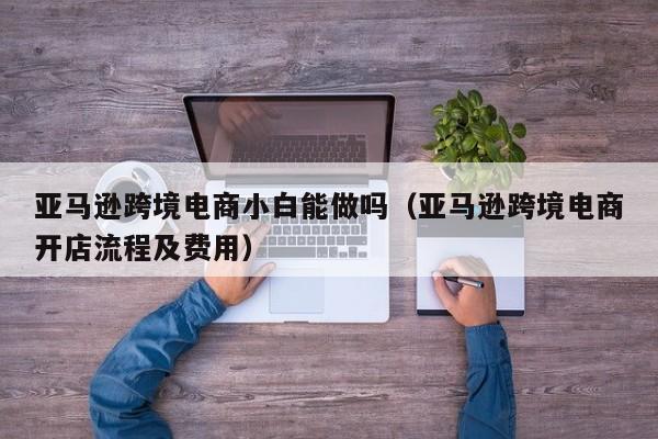亚马逊跨境电商小白能做吗（亚马逊跨境电商开店流程及费用）