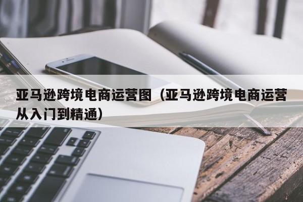 亚马逊跨境电商运营图（亚马逊跨境电商运营从入门到精通）