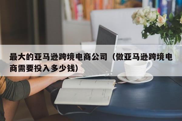 最大的亚马逊跨境电商公司（做亚马逊跨境电商需要投入多少钱）