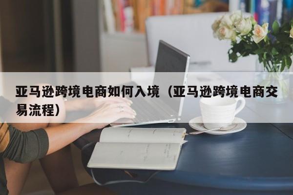 亚马逊跨境电商如何入境（亚马逊跨境电商交易流程）