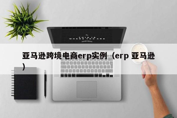 亚马逊跨境电商erp实例（erp 亚马逊）