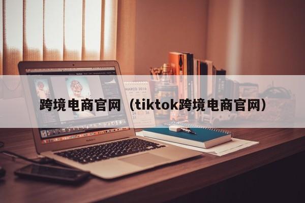 跨境电商官网（tiktok跨境电商官网）