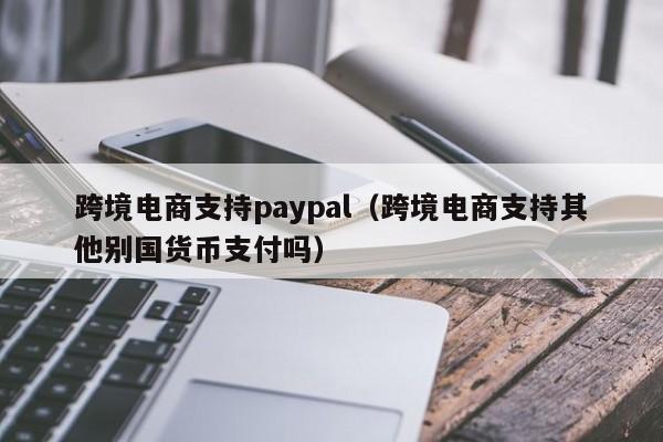 跨境电商支持paypal（跨境电商支持其他别国货币支付吗）