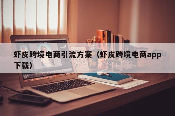 虾皮跨境电商引流方案（虾皮跨境电商app下载）