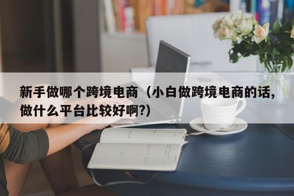 新手做哪个跨境电商（小白做跨境电商的话,做什么平台比较好啊?）