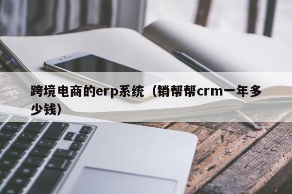 跨境电商的erp系统（销帮帮crm一年多少钱）