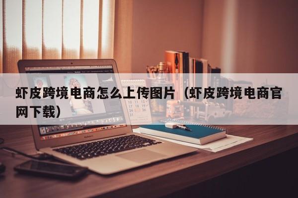 虾皮跨境电商怎么上传图片（虾皮跨境电商官网下载）