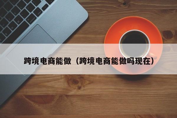 跨境电商能做（跨境电商能做吗现在）
