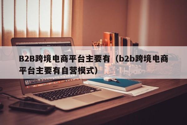 B2B跨境电商平台主要有（b2b跨境电商平台主要有自营模式）