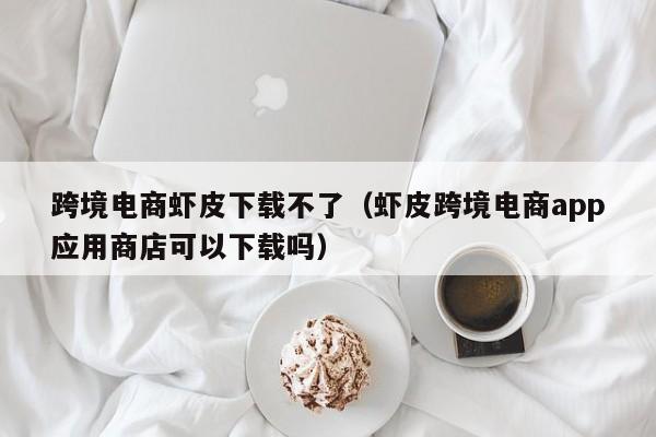 跨境电商虾皮下载不了（虾皮跨境电商app应用商店可以下载吗）