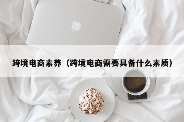 跨境电商素养（跨境电商需要具备什么素质）