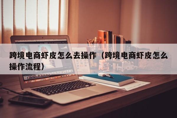 跨境电商虾皮怎么去操作（跨境电商虾皮怎么操作流程）