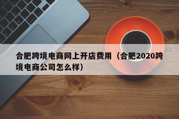 合肥跨境电商网上开店费用（合肥2020跨境电商公司怎么样）