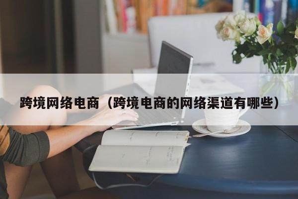 跨境网络电商（跨境电商的网络渠道有哪些）