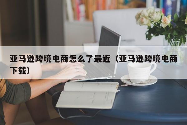 亚马逊跨境电商怎么了最近（亚马逊跨境电商下载）