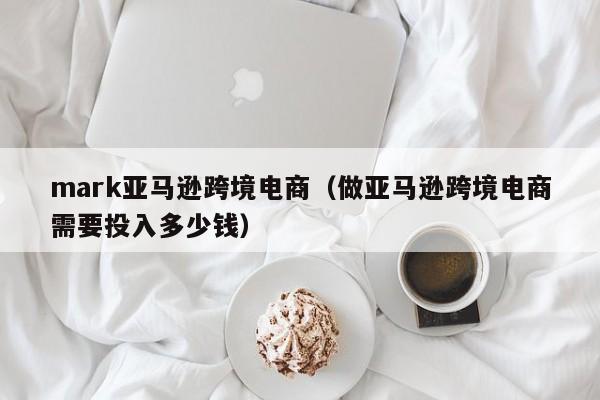 mark亚马逊跨境电商（做亚马逊跨境电商需要投入多少钱）