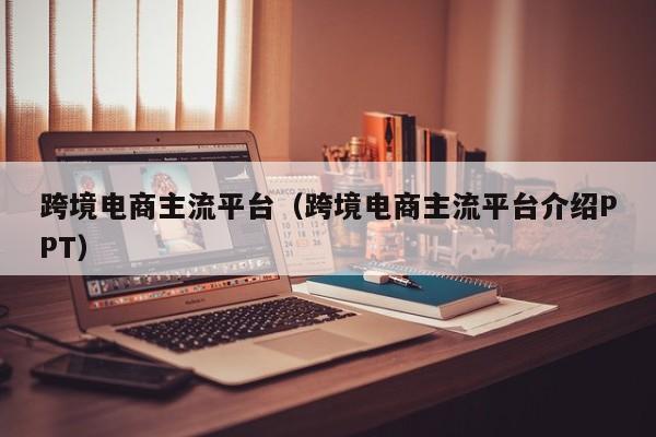 跨境电商主流平台（跨境电商主流平台介绍PPT）