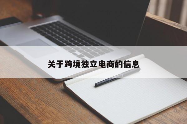 关于跨境独立电商的信息