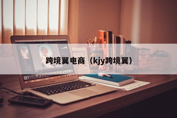 跨境翼电商（kjy跨境翼）